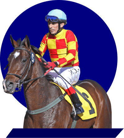 caballo-con-jinete
